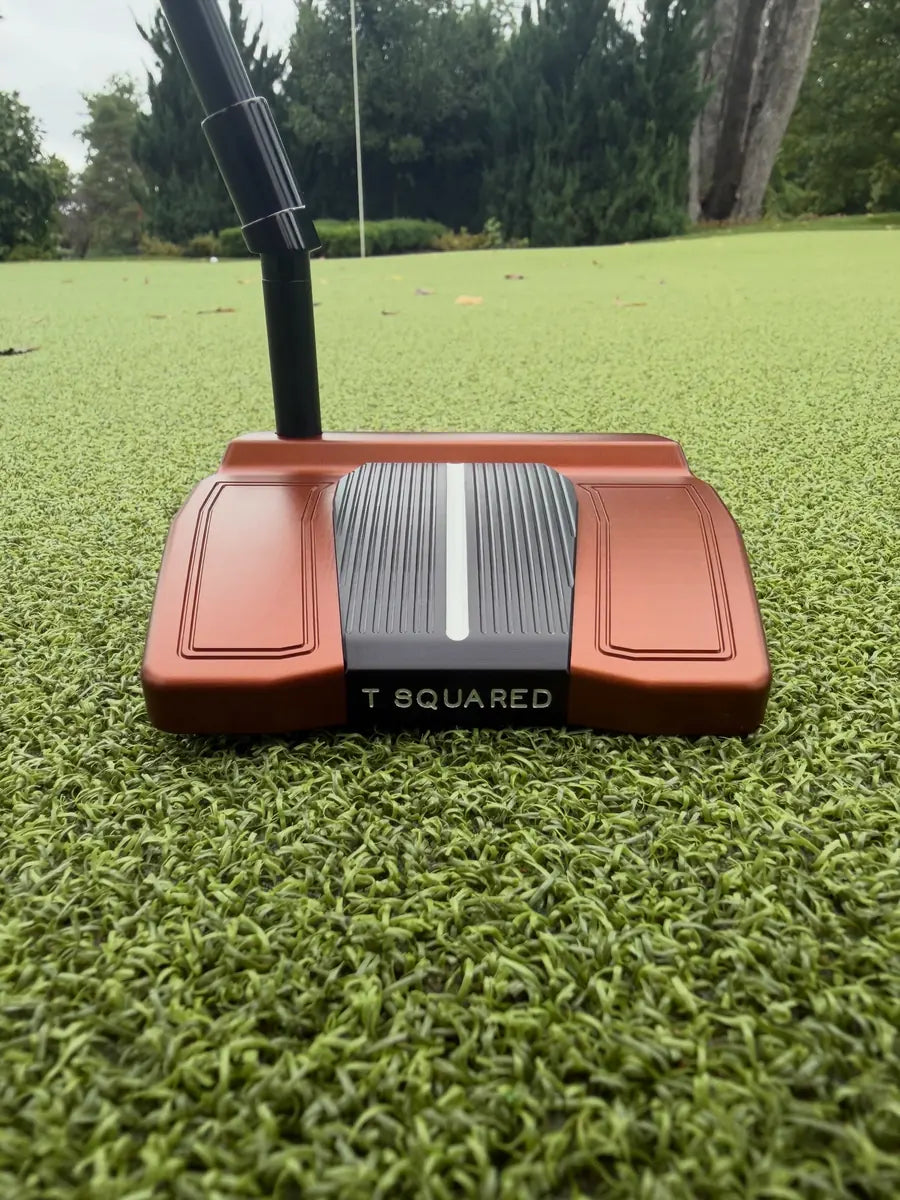 Custom TS-1029 putter in brown on black
